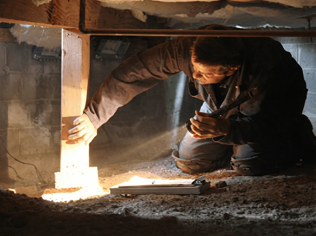 A professional inspecting wooden beams under the floor of a structure in Grand Rapids, MI